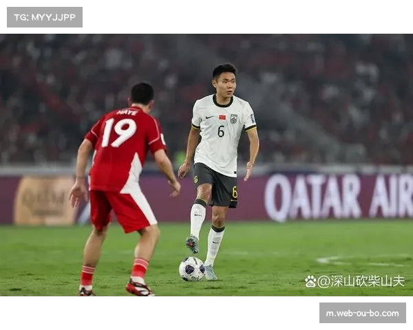 世界杯真正魅力在于跨文化碰撞 扩军延伸足球核心地带