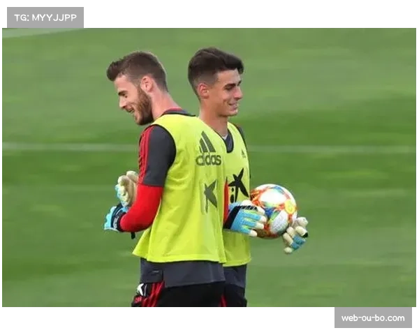 卡拉巴赫扬科维奇失点 关键机会把握能力决定命运